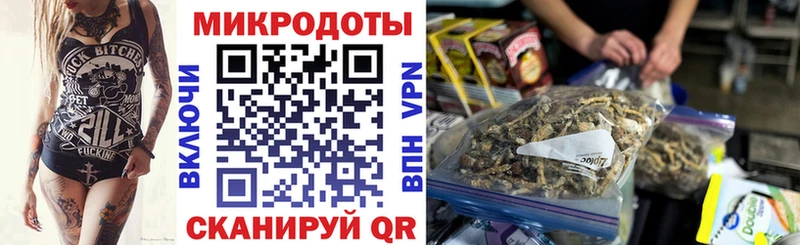Купить  Калуга  Галлюциногенные грибы Psilocybe 