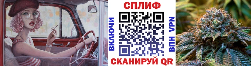 Купить где  Калуга  Марихуана гибрид 